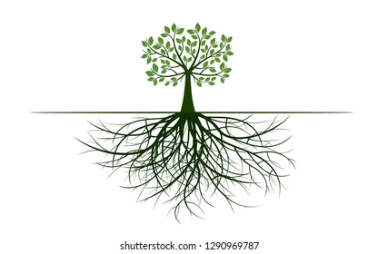 Green tree with spreading roots and green leaves. Vector Illustration. Plant and Garden.
