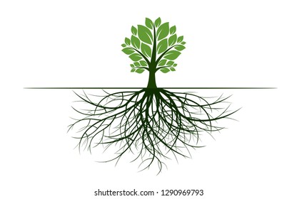 Green tree with spreading roots and green leaves. Vector Illustration. Plant and Garden.