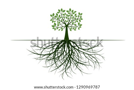 Green tree with spreading roots and green leaves. Vector Illustration. Plant and Garden.