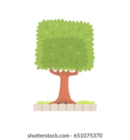 Green tree with a square crown vector Illustration