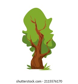 Green tree in the summer, flat vector illustration isolated on white background. Cartoon oak tree with leaves. Concept of nature and environment.