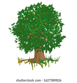 Green tree in the summer. Vector illustration