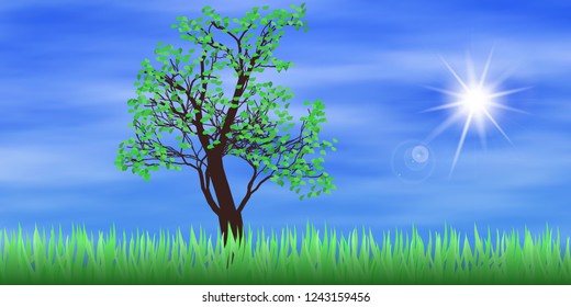 Green tree and sun in the blue sky, lens flare, vector illustration, EPS10