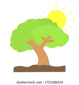 Green tree and sun, flat style vector illustrations.