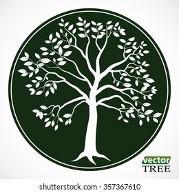 green tree symbol / vector illustration