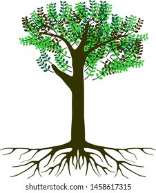 green tree with symmetrical roots