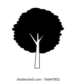 green tree trunk bush nature forest