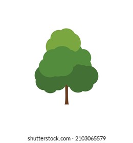 Green tree, A variety of forms on the White Background,Set of various tree sets,Trees for decorating gardens and home designs.vector illustration and icon