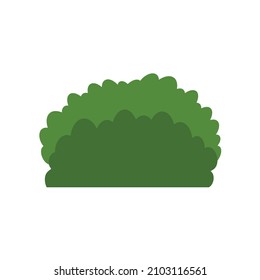 Green tree, A variety of forms on the White Background,Set of various tree sets,Trees for decorating gardens and home designs.vector illustration and icon