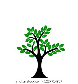 green tree vector illustration