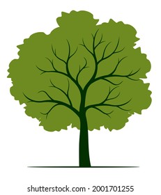 Árbol verde. Ilustración vectorial. Floral y paisajístico.