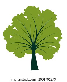 Árbol verde. Ilustración vectorial. Floral y paisajístico.