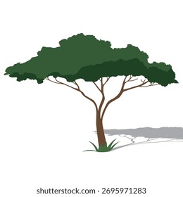 Green Tree Vector Illustration – Natural Landscape Tree with Shadow