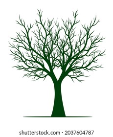 Árbol verde. Ilustración del contorno del vector. Planta en el jardín.