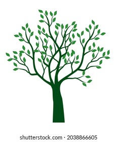 Árbol verde. Ilustración del contorno del vector. Planta en el jardín.