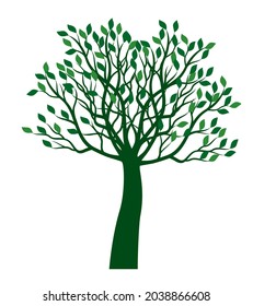 Green Tree. Vector outline Illustration. Plant in Garden.