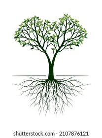 Green Tree. Vector outline Illustration. Plant with Roots in Garden.