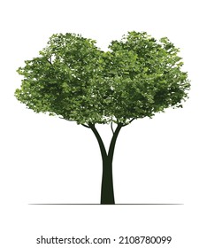 Green Tree. Vector outline Illustration. Plant in Garden and landscape element.