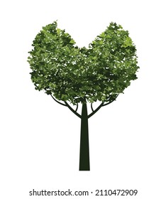 Árbol verde. Ilustración del contorno del vector. Planta en el jardín.