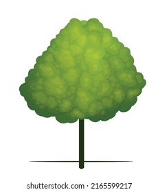 Green Tree. Vector outline Illustration.