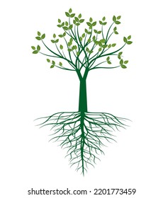 Green Tree Vector Outline Illustration Stock Vector (Royalty Free ...