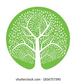 Green Tree Vector Template Design. Tree Vector Design.
