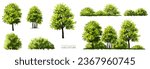 Green tree vector,forest with grass elevation for landscape scene,watercolor plant for architecture drawing, environment and garden,botanical elements ,blooming flowers in spring