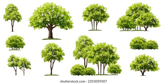 Green tree vector,forest with grass elevation for landscape scene,watercolor plant for architecture drawing, environment and garden,botanical elements ,blooming flowers in spring