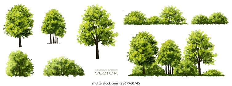 Green tree vector,forest with grass elevation for landscape scene,watercolor plant for architecture drawing, environment and garden,botanical elements ,blooming flowers in spring