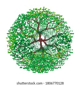 Árbol verde visible desde arriba sobre fondo blanco. Ilustración del vector