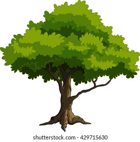 green tree for you design