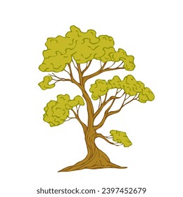 Green tree.Decorative botanical element.Vector graphics.
