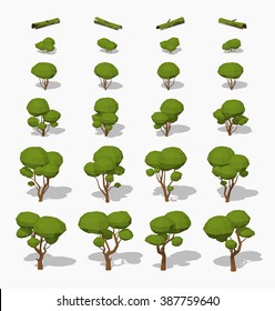 Green trees. 3D lowpoly isometric vector illustration. The set of objects isolated against the white background and shown from different sides