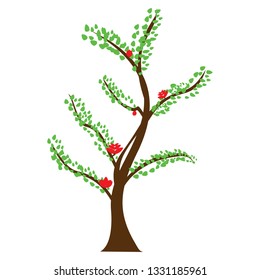 
Green trees begin to blossom with little leaves growing beautiful flowering red color looks fun