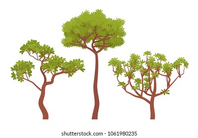 Green trees collection. Large woody plant, chestnut with brown trunk, branches, and leaves. Urban landscape design, environment and ecology concept. Vector flat style cartoon illustration