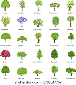 Green Trees Flat Icons Pack 