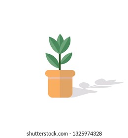 Green trees grow in pots vector. icon plant.