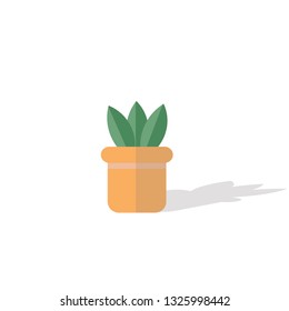 Green trees grow in pots vector. icon plant.