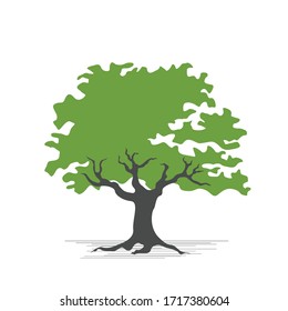 Green trees Isolated on white background, Vector illustration