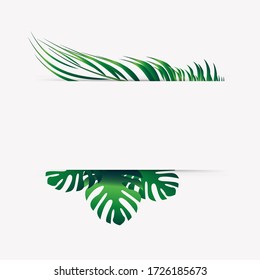 Green trees leaf border isolated with space for text on summer vacation banner concept
