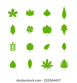 Green trees leaves flat icons set of oak aspen linden maple chestnut clover plants isolated vector illustration