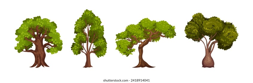 Green Trees with Lush Crown and Trunk Vector Set