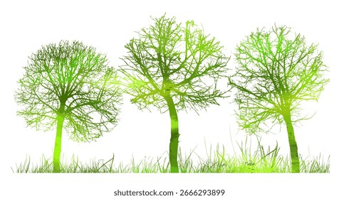 Green trees in the park . hand drawn. Not AI, Vector illustration.