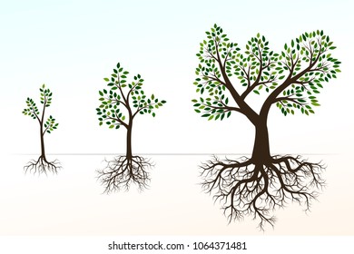 Green trees with roots, branches and leaves. Set of vector illustrations isolated on white. Plant is a symbol of nature, ecology, environment and life. Ramified root system. Brown tree trunk.


