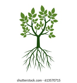 Green Trees with Roots. Vector Illustration.