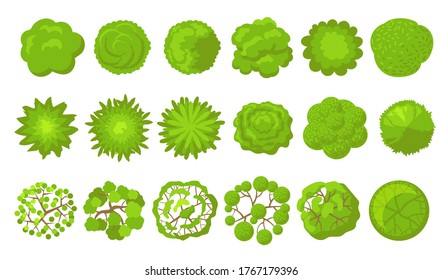 Green trees set. Aerial, plan or top view of park plants, bush, forest or garden. Vector illustrations for garden, landscape, map concept
