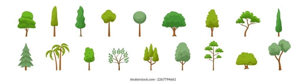 Green trees set. Forest trees.