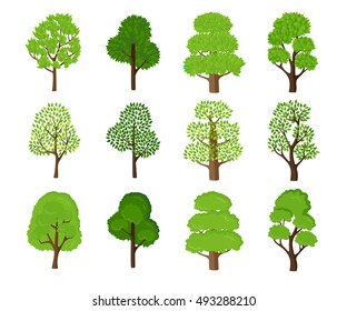 Green trees set, vector illustration. Stylized forest tree collection