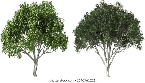 Green trees set, vector isolated life green trees cutout, tree collection, nature background, eco friendly design, sustainable nature, tree silhouette, natural landscape