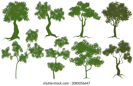 green trees silhouette, isolated vector background set